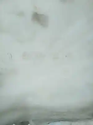 Pezzo di ricambio per auto di seconda mano deposito pulito per bmw serie 3 berlina (e46) 320d riferimenti oem iam 616783628089