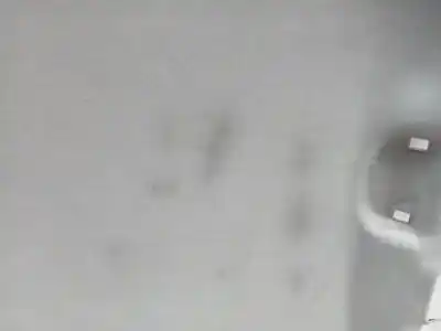 Pezzo di ricambio per auto di seconda mano tetto interno per fiat punto (evo) (199) dynamic riferimenti oem iam 7355167730