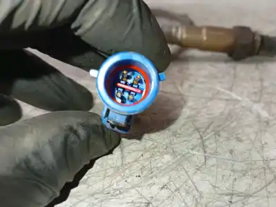 Peça sobressalente para automóvel em segunda mão sonda lambda por ford focus berlina (cap) ghia referências oem iam 0258006569570  