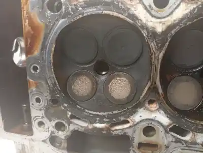Peça sobressalente para automóvel em segunda mão cabeça / culatra por bmw serie 3 compact (e46) 318ti referências oem iam 75054229  