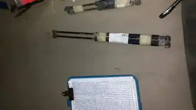 Piesă de schimb auto la mâna a doua AMORTIZOR PORBAGAJ pentru RENAULT 19 HATCHBACK (B/C53)  Referințe OEM IAM   14453