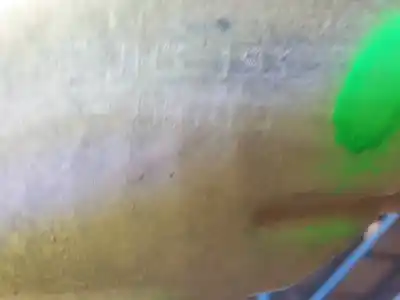 Автозапчасти б/у коробка передач за renault clio ii fase ii (b/cb0) 1.5 dci diesel 64 cv / 47 kw ссылки oem iam jh3 193 508 7071  