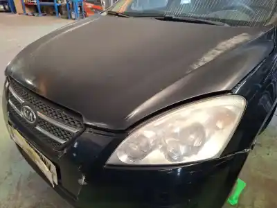 Peça sobressalente para automóvel em segunda mão capot por kia cee'd fastback (ed) 1.6 crdi 90 referências oem iam   