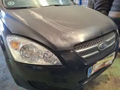 Peça sobressalente para automóvel em segunda mão capot por kia cee'd fastback (ed) 1.6 crdi 90 referências oem iam   