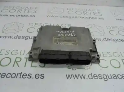 Pezzo di ricambio per auto di seconda mano CENTRALINA MOTORE per FIAT STILO MULTI WAGON (192)  Riferimenti OEM IAM 0281011398  