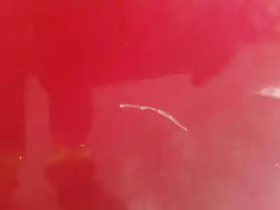 Pezzo di ricambio per auto di seconda mano porta anteriore sinistra per citroen c3 picasso (sh_) 1.6 hdi 90 riferimenti oem iam 9002as  