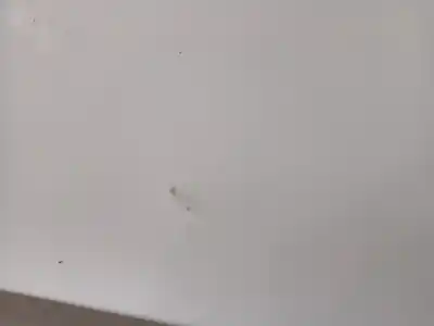 Second-hand car spare part bonnet for renault kangoo ii (f/kw0) k9k802 oem iam references 651003220r  