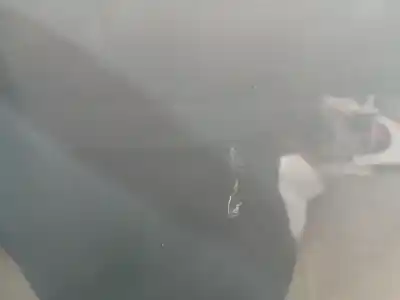 Автозапчастина б/у капок для hyundai kona (os, ose, osi) 1.0 t-gdi посилання на oem iam 66400j9000  