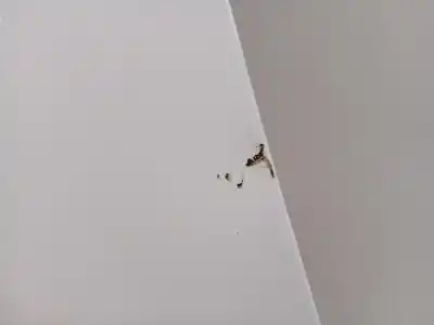 Автозапчасти б/у левое переднее крыло за kia ceed (cd) d4fe ссылки oem iam 66311j7000  