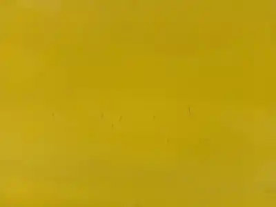 Автозапчастина б/у двері задні ліві для citroen c4 cactus 9h06 посилання на oem iam 9801219180  