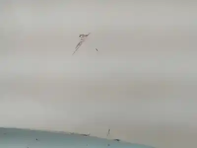 Автозапчастина б/у капок для audi q3 (8ub, 8ug) 2.0 tdi посилання на oem iam 8u0823029b   Автозапчастина б/у капок для audi q3 (8ub, 8ug) 2.0 tdi посилання на oem iam 8u0823029b