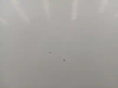 Автозапчасти б/у задняя левая дверь за citroen ds5 2.0 hdi fap cat (rh02 / dw10cted4) ссылки oem iam 9667051380  