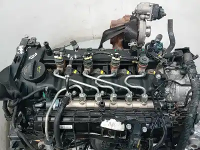 Gebrauchtes Autoersatzteil KOMPLETTER MOTOR zum KIA SPORTAGE (QL)  OEM-IAM-Referenzen D4FD  