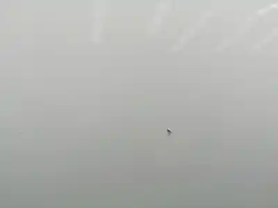 Автозапчастина б/у капок для ford ka (ccu) fp4 посилання на oem iam 1542417  