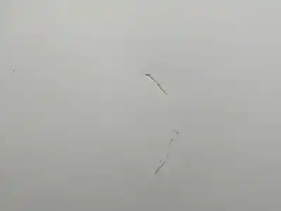 Автозапчастина б/у капок для ford ka (ccu) fp4 посилання на oem iam 1542417  