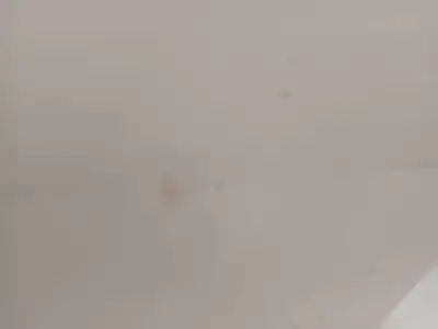 Pezzo di ricambio per auto di seconda mano porta posteriore destra per toyota auris (e18) 2zrfxe riferimenti oem iam 6700302380  
