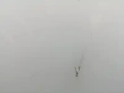 Автозапчасти б/у капот за renault kangoo ii (f/kw0) 5am400 ссылки oem iam 651001209r   Автозапчасти б/у капот за renault kangoo ii (f/kw0) 5am400 ссылки oem iam 651001209r