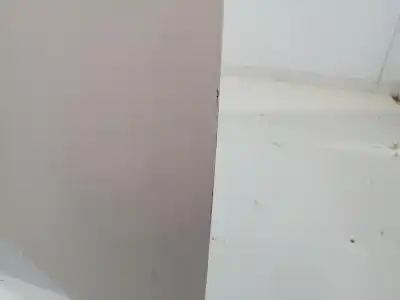 Автозапчасти б/у капот за renault kangoo ii (f/kw0) 5am400 ссылки oem iam 651001209r   Автозапчасти б/у капот за renault kangoo ii (f/kw0) 5am400 ссылки oem iam 651001209r