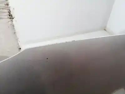 Pezzo di ricambio per auto di seconda mano cofano per ford b-max (cb2) m1ja riferimenti oem iam 2100964  