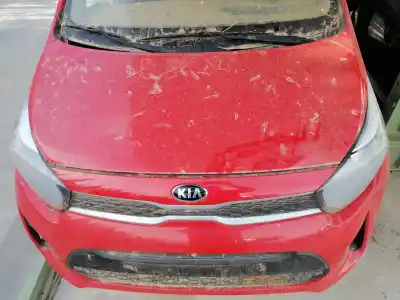 Pezzo di ricambio per auto di seconda mano Cofano per KIA PICANTO (JA) G3LA Riferimenti OEM IAM 66400G6000  