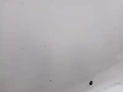 Pezzo di ricambio per auto di seconda mano cofano per ford transit connect (chc) ubga riferimenti oem iam 1808950  