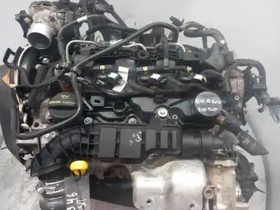 Автозапчастина б/у двигун комплект для FORD TRANSIT CONNECT (CHC) KOMBI ACTIVE 100 CV / 74 KW Посилання на OEM IAM Z2GA  