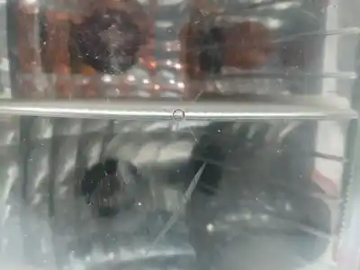 Автозапчасти б/у левый задний фонарь за ford transit connect (tc7) d-hcpa ссылки oem iam 1369222  