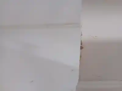 Автозапчастина б/у праві задні двері для ford transit connect (chc) 2646787 посилання на oem iam 2647046  