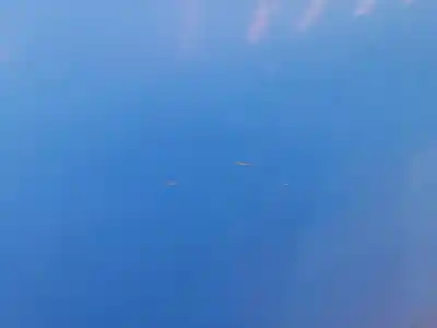 Pezzo di ricambio per auto di seconda mano cofano per opel corsa c g-z12xe riferimenti oem iam 9196450  