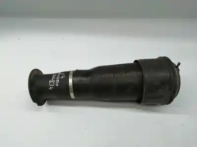 Pezzo di ricambio per auto di seconda mano Ammortizzatore Posteriore Sinistro per CITROEN C4 PICASSO I MONOSPACE (UD_) 1.6 HDI Riferimenti OEM IAM 5102R8  