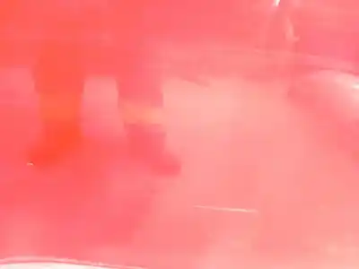 Автозапчастина б/у двері задні праві для ford fiesta vi (cb1, ccn) 1.4 tdci посилання на oem iam 1692501  