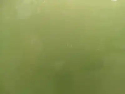 Автозапчастина б/у передні праві двері для citroen c3 i (fc_, fn_) 1.4 hdi посилання на oem iam 9004v1  