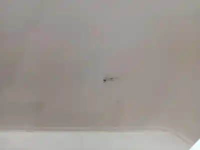 Second-hand car spare part front right door for skoda rapid (nh) cxma oem iam references 5ja831052c  