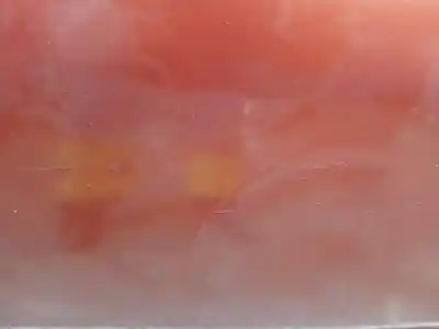 Автозапчастина б/у передні праві двері для citroen c3 i (fc_, fn_) 1.4 hdi посилання на oem iam 9004v1  