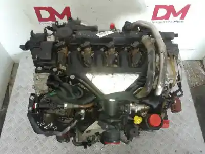 Pezzo di ricambio per auto di seconda mano motore completo per ford kuga (cbs) 2.0 tdci cat riferimenti oem iam d4204t  
