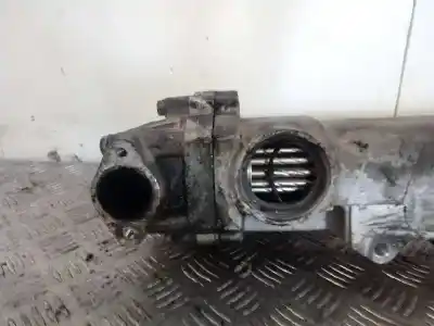 Pièce détachée automobile d'occasion refroidisseur vanne egr pour man tgx 35.x_x 12.4 d références oem iam   