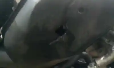 Автозапчастина б/у двигун комплект для audi a4 cabrio (8h) 2.4 v6 30v cat (bdv) посилання на oem iam bdv  