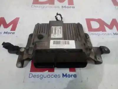 Pezzo di ricambio per auto di seconda mano centralina motore per lancia ypsilon (101) 1.3 jtd cat riferimenti oem iam 55202548