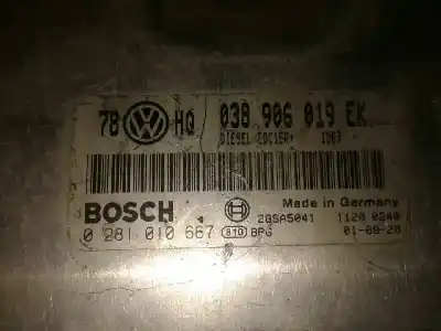 Pezzo di ricambio per auto di seconda mano centralina motore per volkswagen passat b6 variant (3c5) 1.6 fsi riferimenti oem iam 038 906 019 ek caja 1 