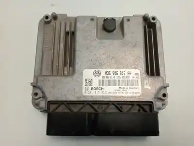 Peça sobressalente para automóvel em segunda mão centralina de motor uce por seat leon (1p1) reference referências oem iam 03g906056aa