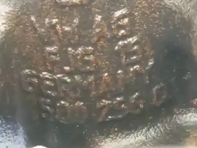 Автозапчасти б/у передняя правая кулачка за seat leon st (5f8) reference advanced ссылки oem iam 5q0256d  