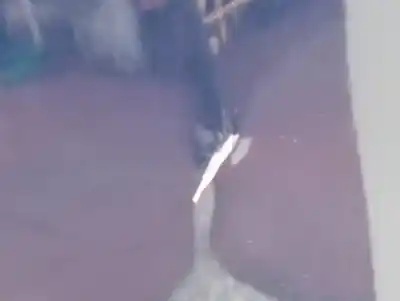 Second-hand car spare part rear right door for dacia dokker essential oem iam references 901006293r  