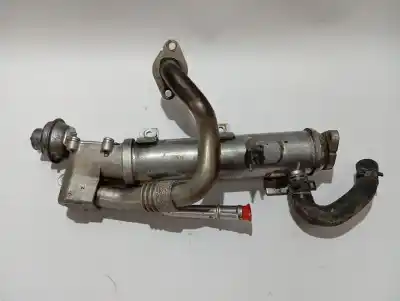 Peça sobressalente para automóvel em segunda mão Radiador De Gases De Escape (egr) por AUDI A4 BERLINA (B8) Básico Referências OEM IAM 03L131512  