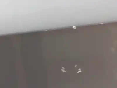 Pezzo di ricambio per auto di seconda mano porta anteriore destra per bmw x5 (e70) 3.0d riferimenti oem iam 41517 211424  