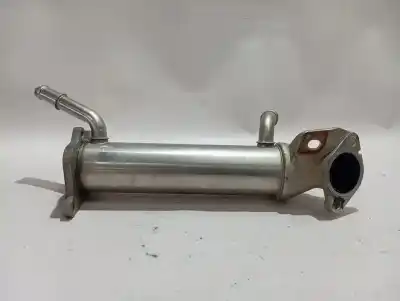 Pezzo di ricambio per auto di seconda mano raffreddatore egr per ford transit custom kombi 2.2 tdci cat riferimenti oem iam ck2q9f464ab  