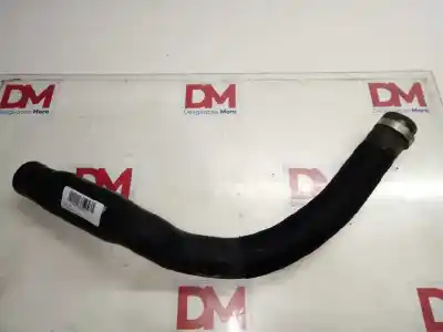 Peça sobressalente para automóvel em segunda mão MANGA por NISSAN CABSTAR 01.04 -> 3.0 Diesel Referências OEM IAM   