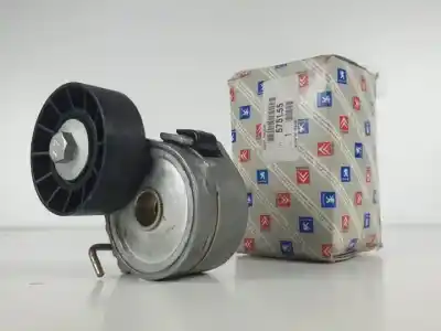 İkinci el araba yedek parçası YARDIMCI KAYIS GERGI için PEUGEOT 206 BERLINA  OEM IAM referansları 575155  