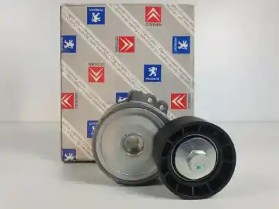 Peça sobressalente para automóvel em segunda mão esticador de correia por peugeot 307 break / sw (s1) rhy(dw10td) referências oem iam 575174
