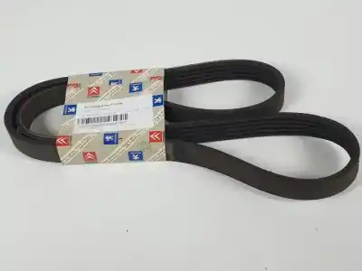 Pezzo di ricambio per auto di seconda mano accessori per cinturini per citroen saxo d-vjx riferimenti oem iam 6453cy