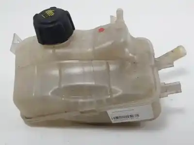 İkinci el araba yedek parçası TESVIK MEVDUATI için RENAULT SCENIC III  OEM IAM referansları 217100005R  
